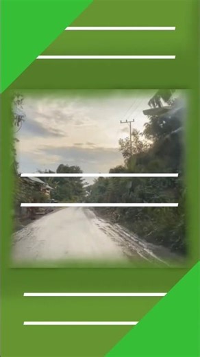 ______________ ______________