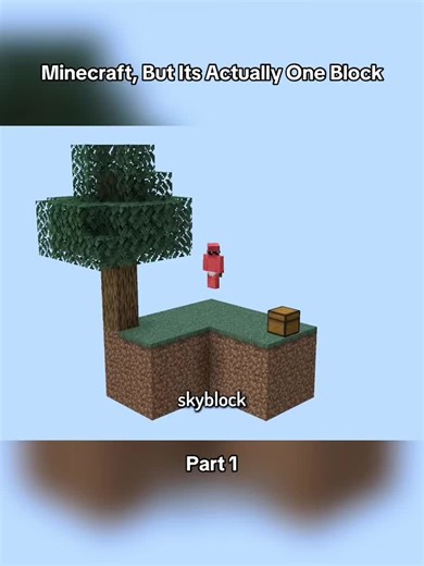 Minecraft, But Its Actually One Block #minecraft #oneblock #beppo #enderdragon