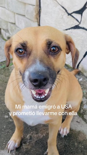 Mi mamá emigró a USA y prometió llevarme con ella
