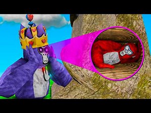 I Cheated In Hide & Seek Using X-Ray In Gorilla Tag!