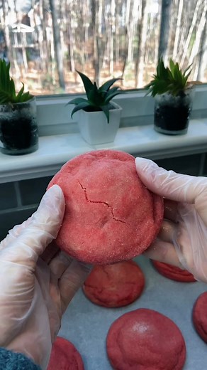 cookie cookbook! ☕️ i cannot belive how far posting myself baking has taken me and how much support you all have brought! love u all so much 💕💕 #cookbook #pinterest #recipes #baking #cookies #tutorial #easyrecipes #veganrecipes this book has 16 cookie recipes along with recipes for toppings and all recipe are in cups and grams!