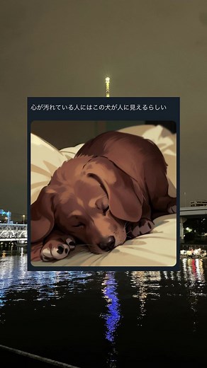 犬心理と深層錯覚：汚れた心と清らかな心の比較