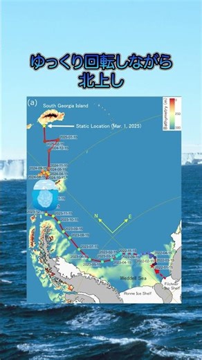 World's largest iceberg collapses.