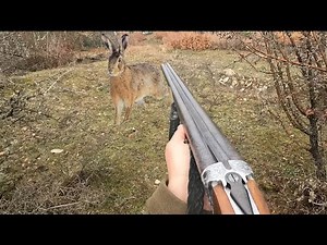 RABBIT HUNTING WITH A CRUSH 🔥 TWO DIFFERENT HUNTING DAYS