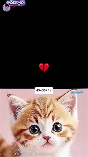#cat​#meme​ funny​#trading​dance​#viralcat​ cat​ dance​ meme​ funny​ catviralcat mrbombastic​ catbombastic​ trending​ youtubeshorts​ cat​ comedy​ shorts​ #popular​ latest​ viral​ funny​ funnyvideos​ shortsvideo​ funnyshorts​ youtubeshorts​ viralvideo​geography​ history