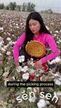 Why can a chair merge with a tree?