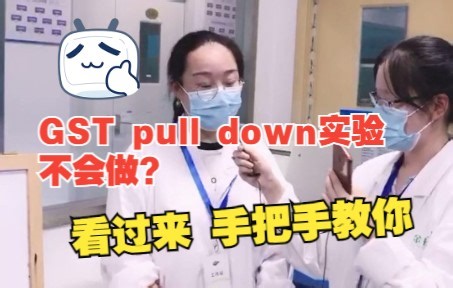 GST pull down实验不会做？看过来手把手教你！！！（一）