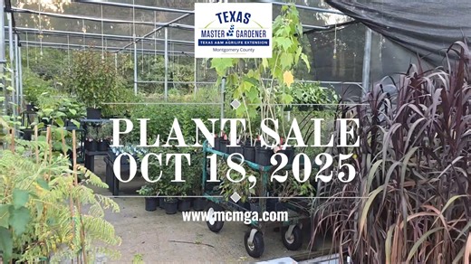 3K views · 29 reactions | You can see more about our greenhouse on YouTube https://www.youtube.com/watch?v=v82FA2di8es | Montgomery County Master Gardener Association | Facebook