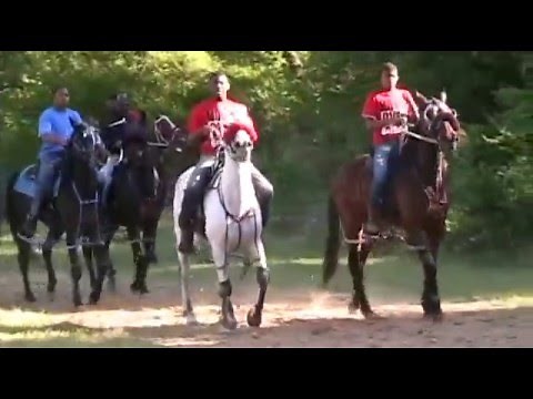 Standardbred Horse Racing at Mandeville, Arkansas Trail Ride