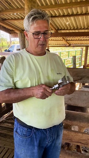 Hoje foi dia de fazer castraçao nos carneiros e com isso utilizamos a ferramenta chamada “burdizzo”. Você ja tinha ouvido falar dessa ferramenta? Nesse video explicados o manejo de tal objeto. #veterinaria #castração #veterinary