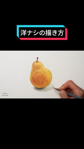洋ナシの描き方のテクニック