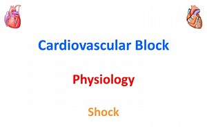 Cardiovascular Block Physiology Shock - SlideServe