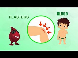 Blood - Human Body Parts - Pre School - Animated Videos For Kids