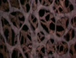 THE PUPPET MASTERS part1（お試し版）