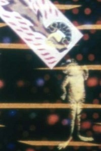 No. 17: Mirror Animations - Movie