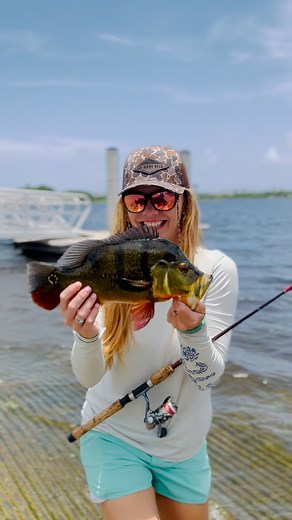 21K views · 646 reactions | Spring time Fishing for Big Peacock Bass in South Florida! #exotic #bassfishing #explore #southflorida | Pluff Mud Princess Outdoors | Facebook