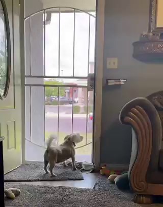 fuckin got his ass