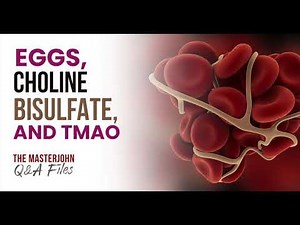 Eggs, Choline Bisulfate, and TMAO