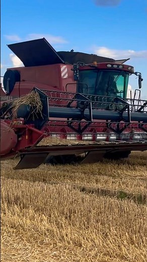 Kombajn Case IH Axial Flow 8120 🚜 #combine #farming #machine #agro #village #farm