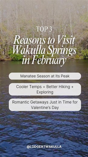 Why visit Wakulla Springs in February? We’ve got three magical reasons: 1️⃣ Manatees galore in crystal-clear waters 2️⃣ Romantic escapes just in time for Valentine’s Day 3️⃣ Cool weather = perfect trails, no crowds ⁠ Whether you’re here for the wildlife or the wow factor, February is pure Florida magic. Plan your visit now: https://bit.ly/4a2khPX | The Lodge at Wakulla Springs