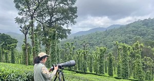 17K views · 770 reactions | Happy Morning ! Some of you have been...