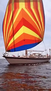 German Hallberg-Rassy 45 sailor. Repost @Naomi_kwa #hallbergrassy #hallbergrassy45 #sailboat #yachting #yacht #boating #yachtlife #yachtinglife #sailingstagram #segelbåt #seglerfrau #sailingyacht #seglartjej #sailuniverse #frersdesign #boating #båtliv #girlswhosail #traumyacht #dreamyacht #drömbåt #cruisingboat #womenwhosail #sail #långfärdsbåt #germanfrers #frersdesign #bluewatercruiser #frersyachtdesign #sailorgirl | Hallberg-Rassy