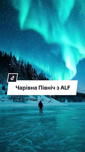 Чарівна Північ з ALF — автобусний тур до Фінляндії (зимовий 2026–2027)