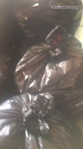 Earn Cash by Returning Recyclables | Recycling Program Explained