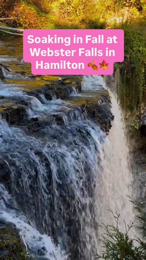 Whats The Plan Hamilton on Instagram: "Webster Falls showing off those final autumn colours 🍁 🎥Special thanks to @zainabbbkhan_ for the video! Be sure to check her out for more amazing content ✨ ✨Follow @whatstheplanhamilton for more fun and exciting plans in the City!✨ #hamilton #hamiltonontario #hamont#halloween #whatstheplanhamilton #ancaster #westdale #cambridge #hamiltoncity #todohamilton"