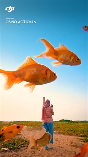 Un moment inattendu, et très court : “des poissons rouges dans le ciel”. Pour ce type de plan, il faut une caméra prête immédiatement et une image lisible, même en bougeant. Osmo Action 6 est faite pour ça : capture réactive, rendu clair et séquence stable pour garder l’effet visuel intact. 🎥 : @basith_paykat #DJI #DJIOsmo #OsmoAction6 #ActionCamera #SquareSensor #POV #PovCamera #Ciel #FishPhotography | DJI