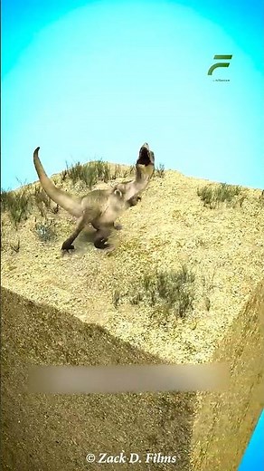 How Fossils Really Form (Explained Simply)