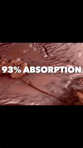 While Vitamin D is essential, it can be perplexing. Find out how to enhance your levels and more…Credit@ Dr. Eric Berg! | Fasting Edge