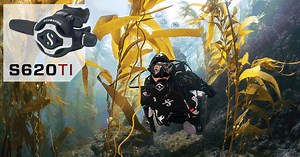 44 reactions · 24 shares | A regulator for every diver ! Find yours here : https://bit.ly/2JAgjmA | Scubapro | Facebook