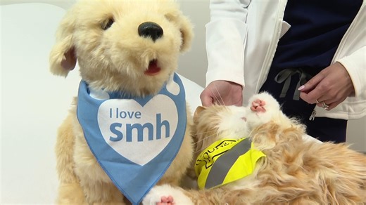 Robotic pets show positive outcomes in new dementia care clinical study through Sarasota Memorial Hospital