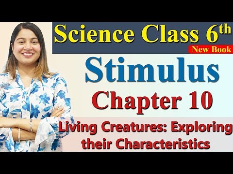 Stimulus - Chapter 10 Living Creatures: Exploring their Characteristics Science Curiosity Class 6