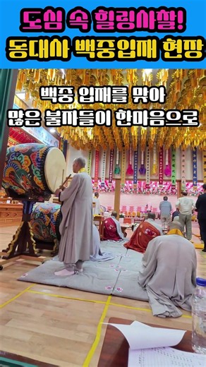 도심 속 #힐링사찰! #동대사 백중입재 현장 #천태종