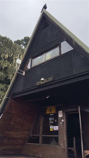 Hiking Mount Kilimanjaro: Marangu Route to Mandara Huts!