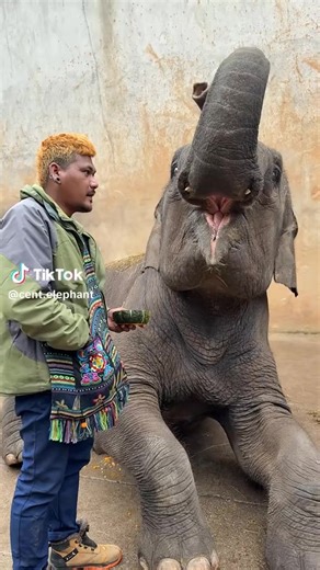 Vidéos de Kassoum Lallogo (@kassoum.cher) avec son original - FasoCulture🇧🇫