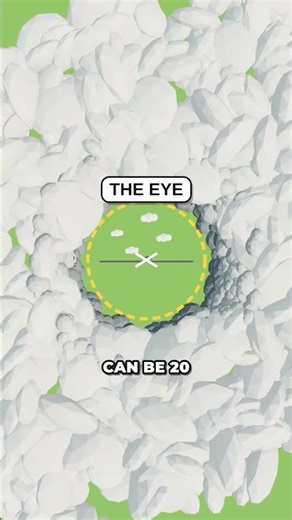 What If You Stood in the Eye of a Hurricane?