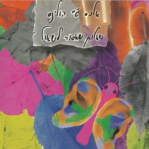 16830570-אלכס-גיי-הולנס-שאלות-שאסור-לשאול