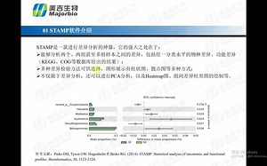 STAMP软件使用介绍和实操