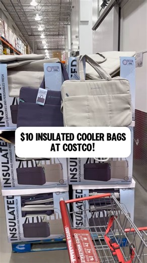 These insulated coolers at Costco are great to have in the car to keep your perishables fresh! #cooler #costcofinds #costco | costcoguide