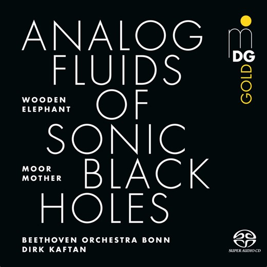 Moor Mother, Wooden Elephant, Beethoven Orchestra Bonn, Dirk Kaftan – Analog Fluids of Sonic Black Holes | The Quietus