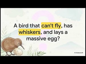 Kiwi Bird Facts, Size, Habitat & More