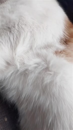 Jessica Cid on TikTok