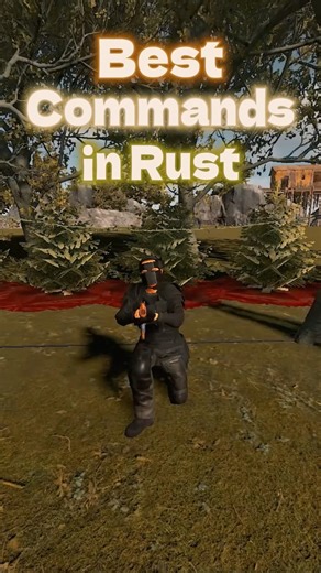 Best Commands in Rust