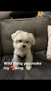 It’s me Kil Hopey B your wild thing I hope I make your heart ❤️ sing like you do mine | Hopey B