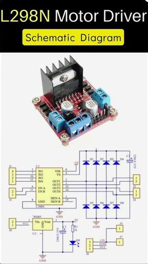 Lm298 motor drive #electronic #electrician