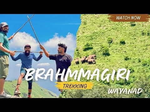 Brahmagiri Trek – One of the most beautiful trails in Wayanad! 🌄 Malayalam