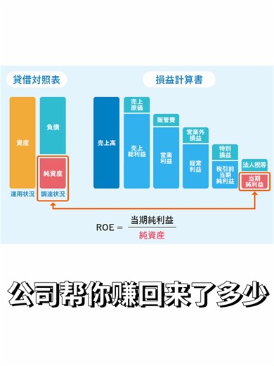 净资产收益率—ROE#科普 #金融 #经济 #投资 #理财